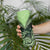 New Zealand Skinny Tumbler Aotearoa Maori Kiwi Green Fern