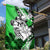 Polynesian Valentine Garden Flag Couple Floral Unique Green Version LT01 - Polynesian Pride