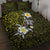 Hawaiian Turtle and Plumeria Quilt Bed Set Polynesian Tattoo and Tribal Elements Pattern Yellow Color