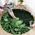 Matariki New Zealand Round Carpet Maori Pattern Green Galaxy