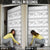 Samoa White Sunday Door Cover Samoan Tapa White Hibiscus - Polynesian Pride