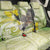 New Zealand Piwakawaka Fantail Bird Back Car Seat Cover With Kowhai Flowers