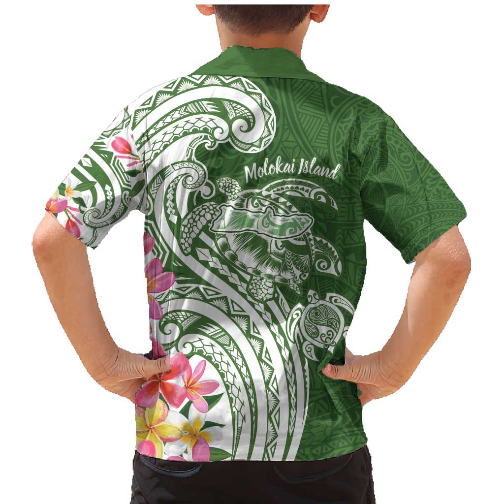 Aloha Molokai Island Personalized Family Matching Mermaid Dress and Hawaiian Shirt Sage Dreamy Turtle