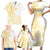 Samoa Siapo Mamanu Family Matching Short Sleeve Bodycon Dress and Hawaiian Shirt Plumeria Fancy Gold Motifs