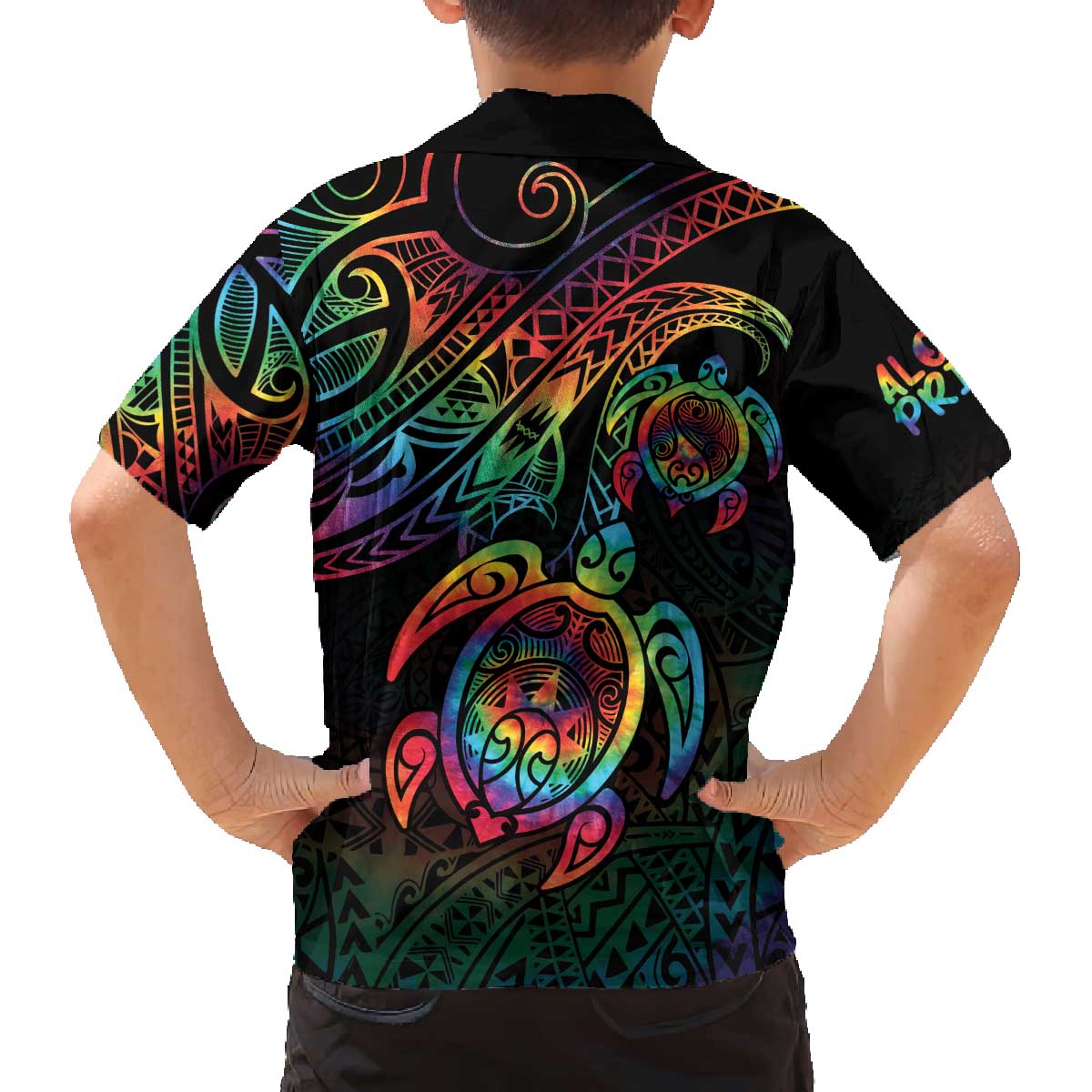 Hawaii Pride Family Matching Off The Shoulder Long Sleeve Dress and Hawaiian Shirt Rainbow Swirls