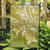 Polynesia Sea Turtle Garden Flag Happy Valentine Day Polynesian - Gold LT14 Garden Flag Gold - Polynesian Pride