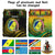 Custom Vanuatu Provinces Bedding Set Coat Of Arms Mix Flag CTM14 - Polynesian Pride