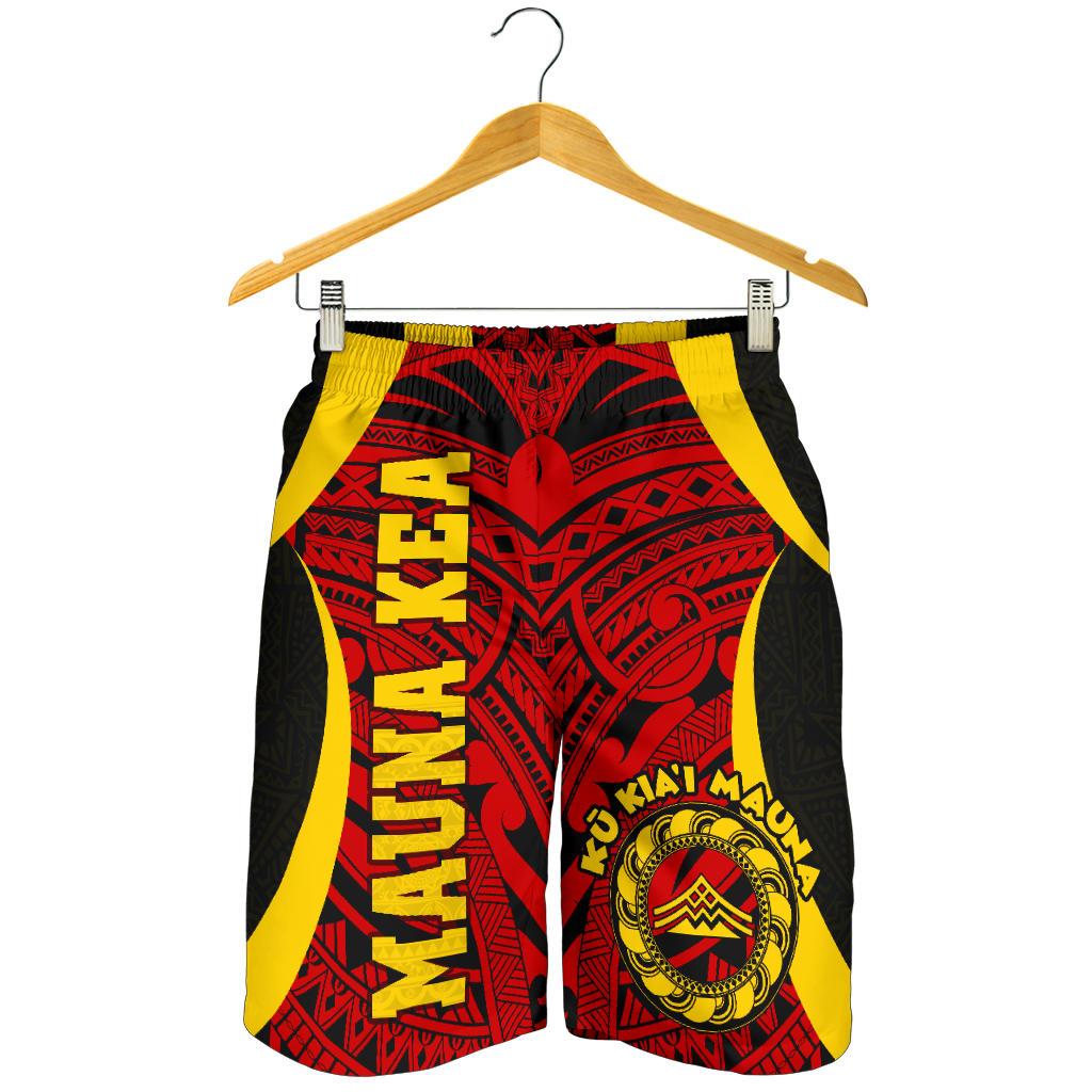 Hawaii Men Shorts - Protect Mauna Kea - Polynesian Pride