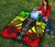 Samoa Premium Quilt - Samoa Coat Of Arms Polynesian Reggae Tattoo - Polynesian Pride