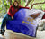 American Samoa Polynesian Custom Personalised Personalized Premium Quilt - Bald Eagle (Blue) - Polynesian Pride