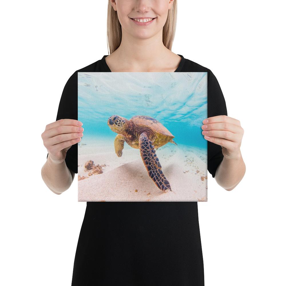 Ocean Picture Canvas 12x12 Canvas White - Polynesian Pride